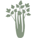 Sellerie